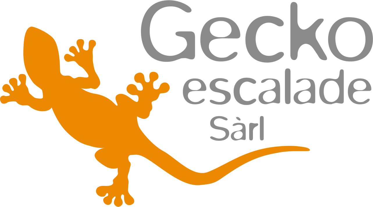 Gecko escalade Sarl