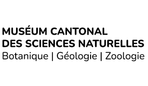 Musée Cantonal des Sciences Naturelles 